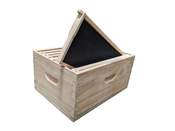 Assembled beehive box and assembled frames