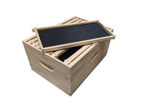 Assembled beehive box with assembled frames and black plastic foundation