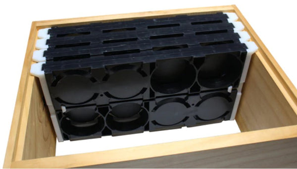 Ceracell Comb Honey Frames x 6