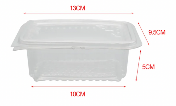 Plastic Embossed Honeycomb Containers - Pack of 100