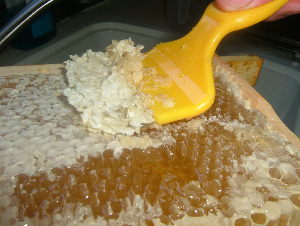 Plastic uncapping fork