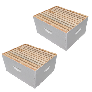 painted wax dipped beehive boxes