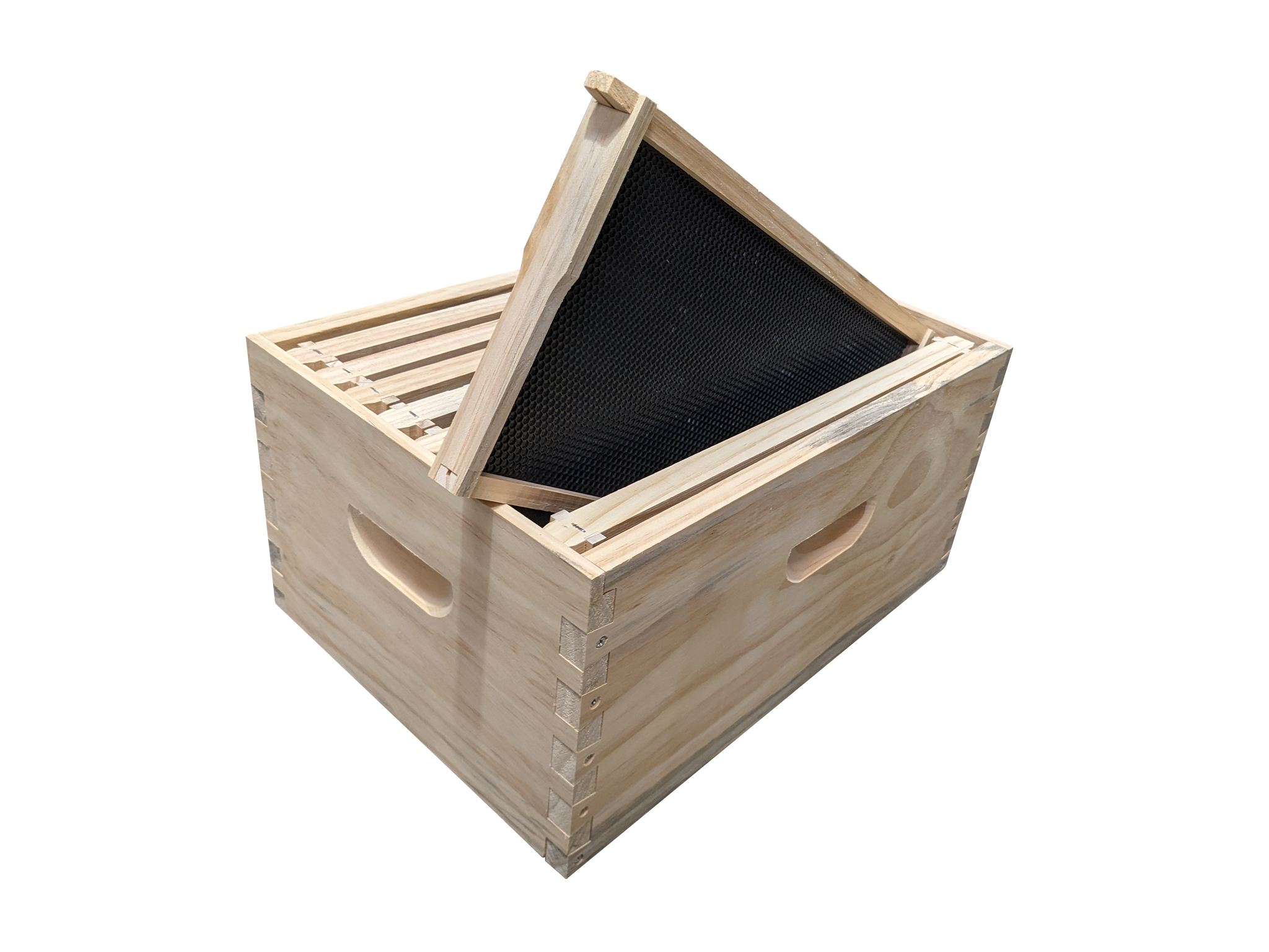 Assembled beehive box with assembled frames and black plastic foundation