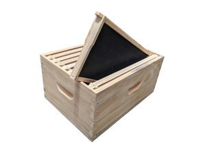 Assembled beehive box with assembled frames and black plastic foundation