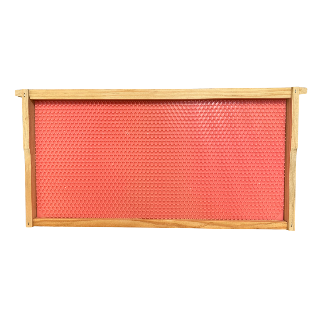 Assembled Full Depth Timber Beekeeping Frame With DRONE Plastic Founda ...