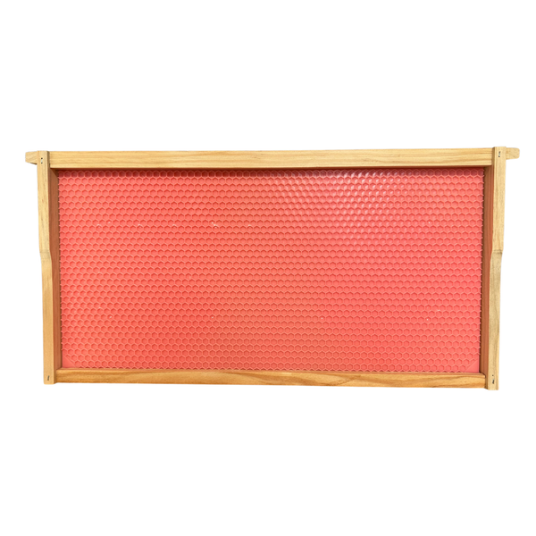 Drone Plastic Beekeeping Foundation for Varroa Control