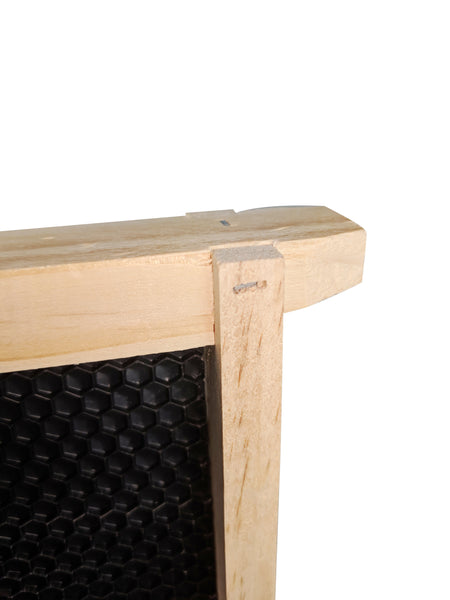 Assembled Ideal size frames with plastic foundation