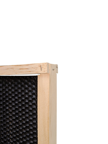 Assembled Ideal size frames with plastic foundation