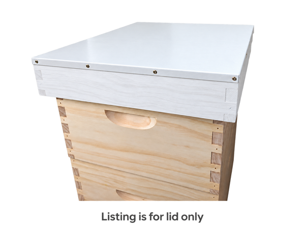 White painted telescopic beehive lid on a matching painted 8 frame hive