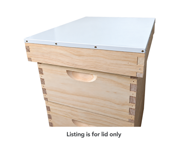 White painted telescopic lid fitted on a 10 frame beehive box