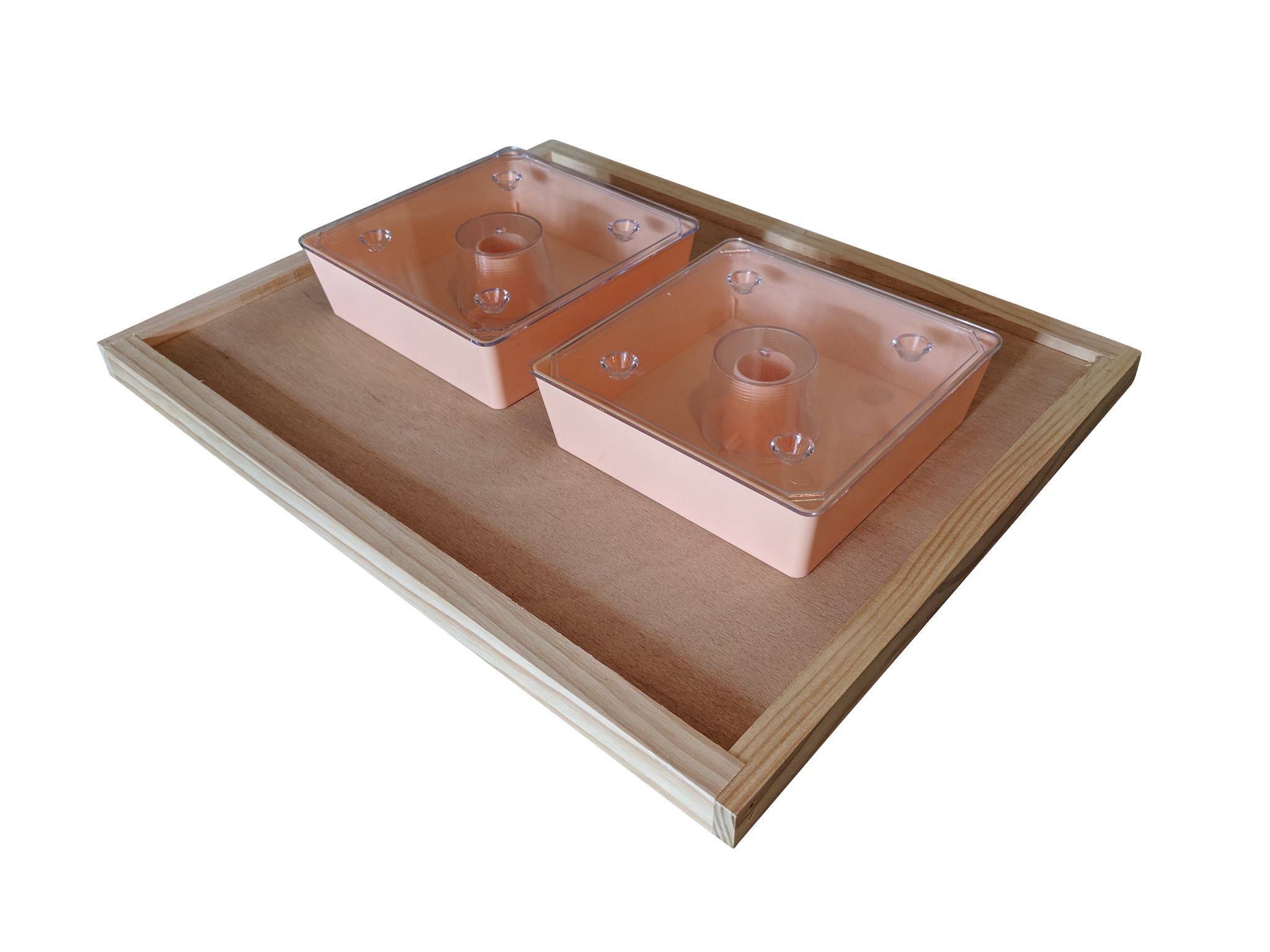 Feeder Combo Pack - includes Feeder Board and 2 x 1.5L Rapid Feeder