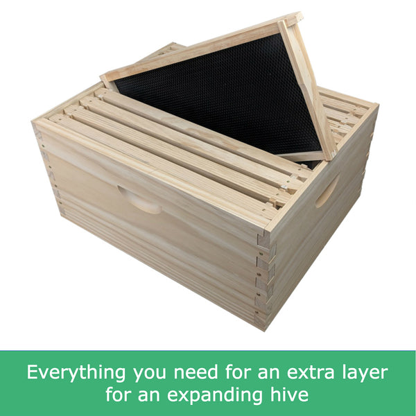 10 Frame Full Depth Beehive Super/Box Kit Including Frames and Foundation