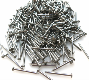 Beekeeping Frame Nails - 1.8mm x 25mm (100 pack)