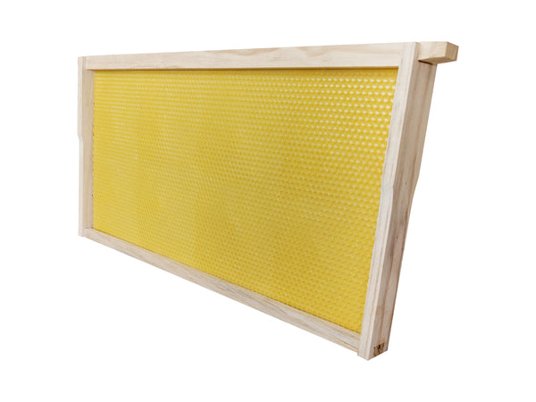 yellow plastic beekeeping foundation and timber frames