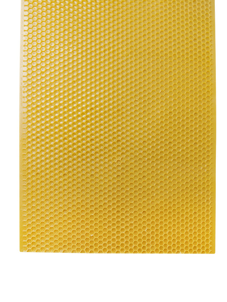 Plastic Beekeeping Foundation - Full Depth - Yellow Colour