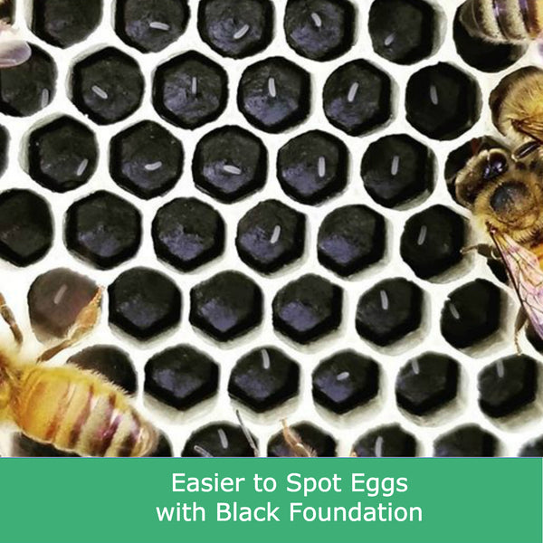 Black Plastic Beehive Frames for Beekeeping Full Depth Langstroth Frames for Deep Hive